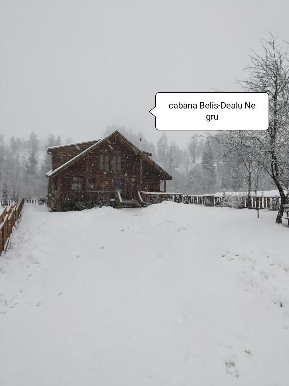 Дома для отпуска Cabana Belis Dealu Negru Белиш