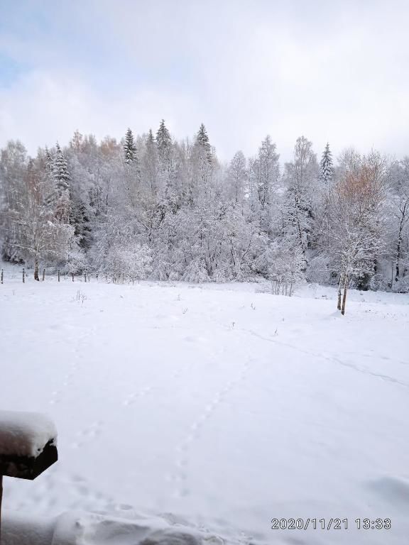 Дома для отпуска Cabana Belis Dealu Negru Белиш