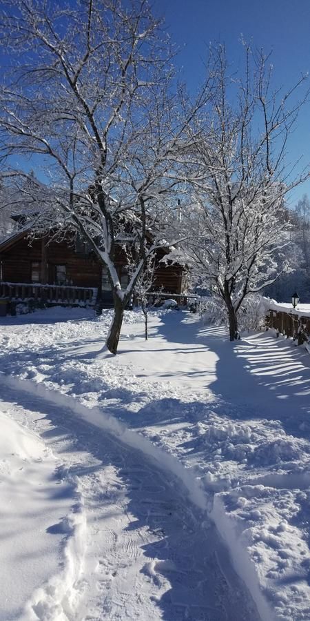 Дома для отпуска Cabana Belis Dealu Negru Белиш